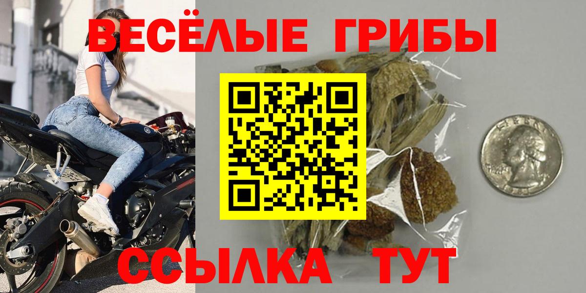 Сафоново  Галлюциногенные грибы мухоморы  купить наркотики цена  Вход с VPN 